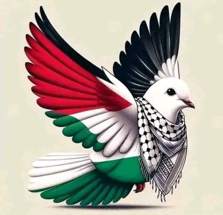 Palestina triunfara  
!!!Viva Palestina!!!