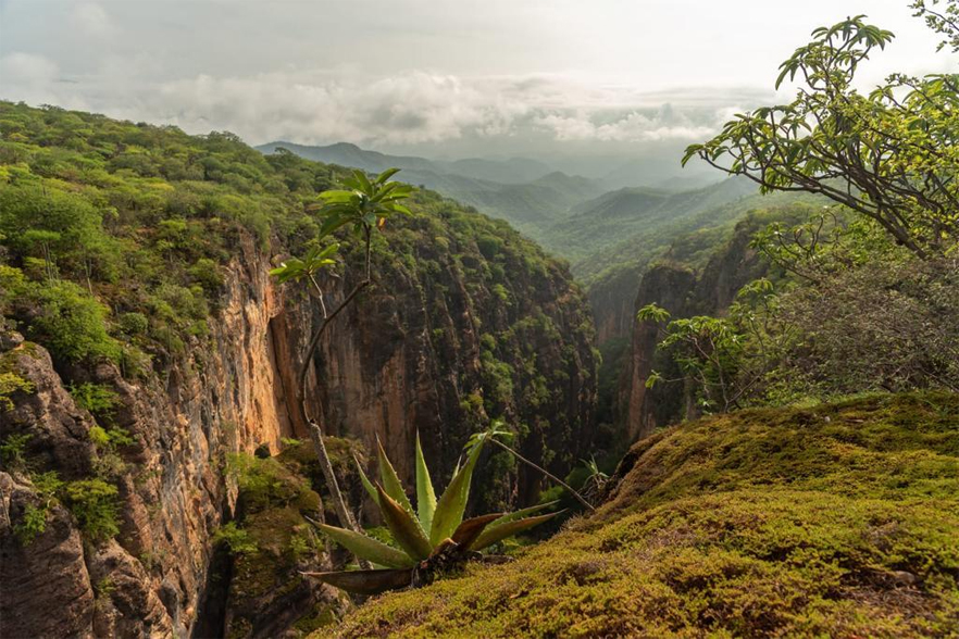 AntequeraDiario's tweet photo. En el marco del Día Mundial del Medio Ambiente, el cual se conmemora el 5 de junio, el Gobierno del Estado exhorta a ciudadanía a unir esfuerzos para proteger el patrimonio natural que albergan los casi 94 mil kilómetros cuadrados de extensión territorial
https://t.co/RB6VBsZ8ss https://t.co/o4Kvxo0cr7