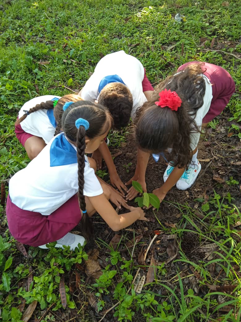La campaña del Día Mundial del Medio Ambiente de 2024se centra en el lema Restauración de las tierras, la resiliencia a la sequía y la desertificación cuídemelo.  #DMEmanicaragua #cubaMined. #EducaciónVillaClara