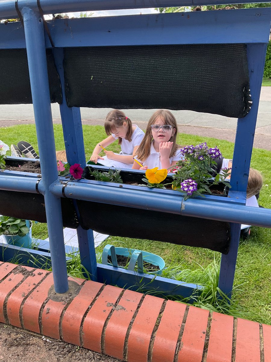 StBernardsep's tweet photo. T2 completed our observation over time activity. We measured and sketched the plants that had light and compared them to those in the dark cupboard. #stbScience https://t.co/WxJqpyFBn3
