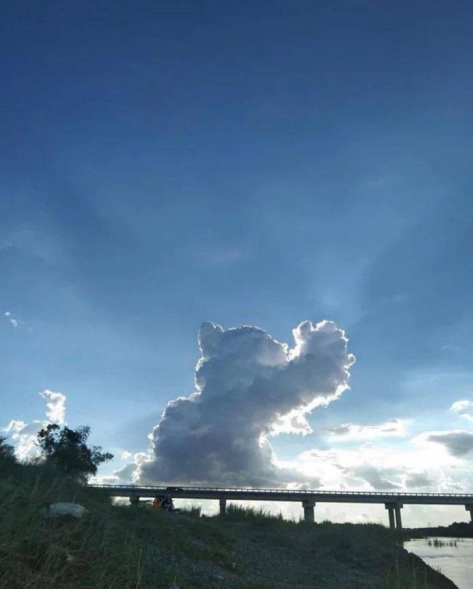 Catsillyness's tweet photo. Cat cloud https://t.co/RjB4uNJhQC