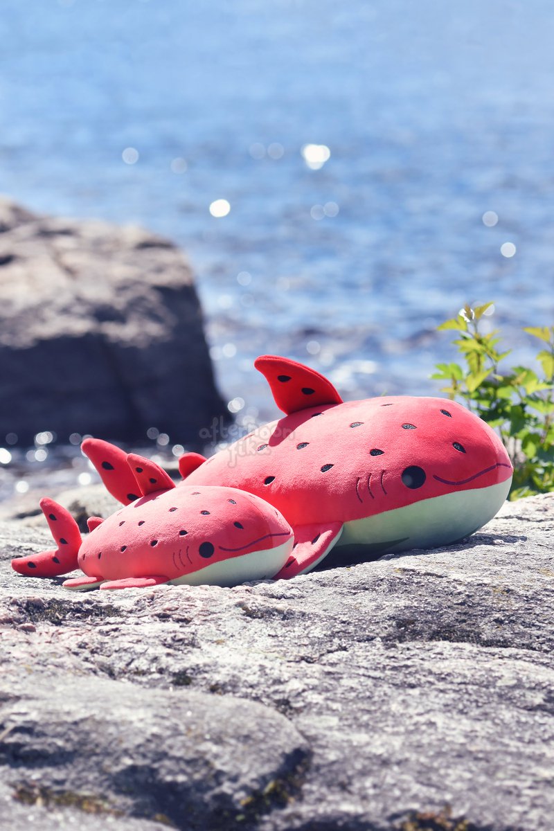 Watermelon whale shark plushies 🍉🦈