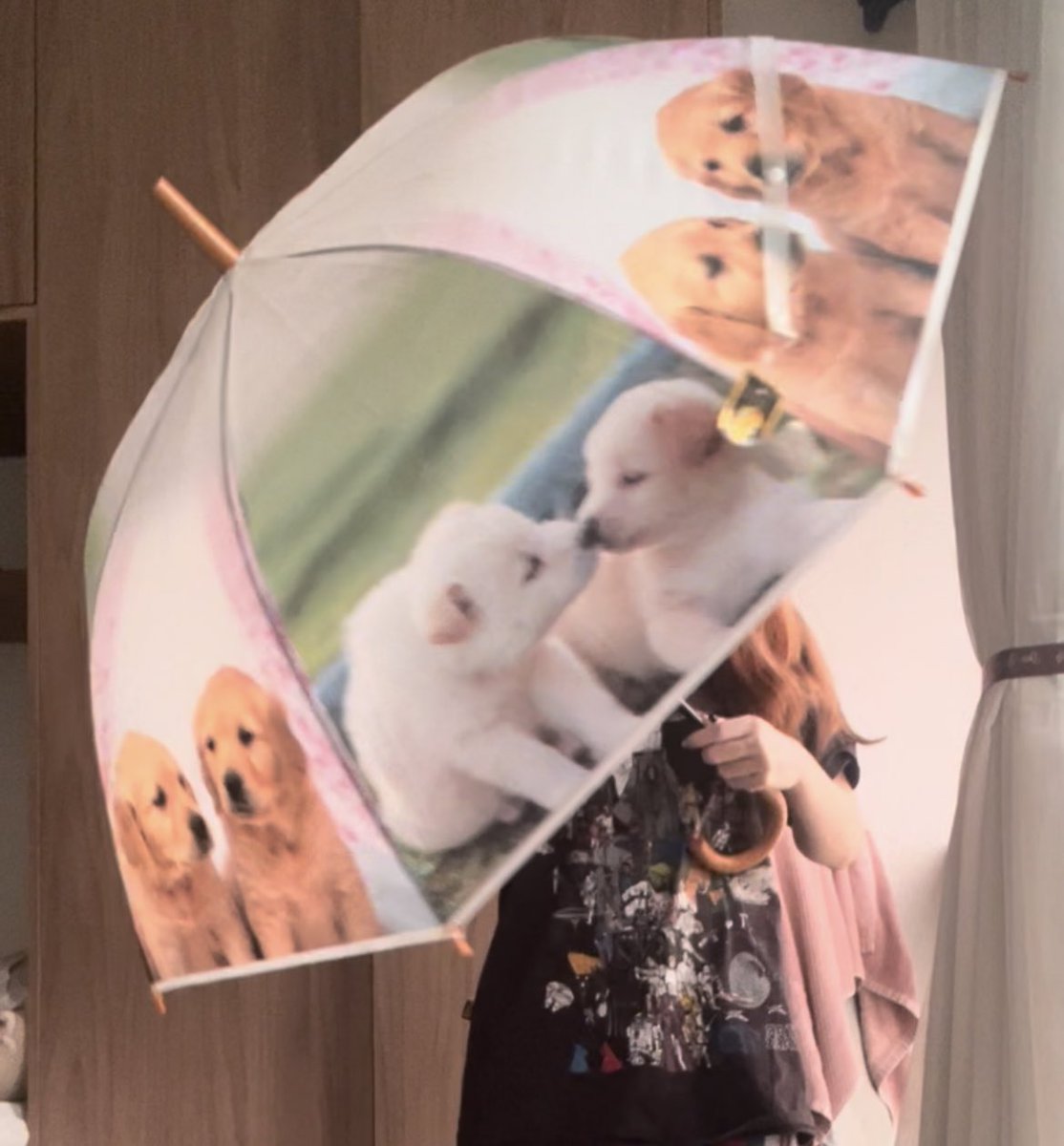 _hikkichuu's tweet photo. just bought this. hope gang don’t mind me going frolicking and whimsically to the hood today https://t.co/xQ0G27Rh6n