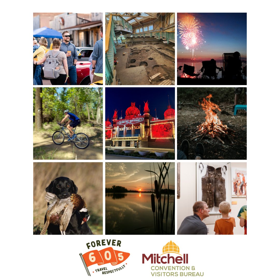 Visit Mitchell tweet media