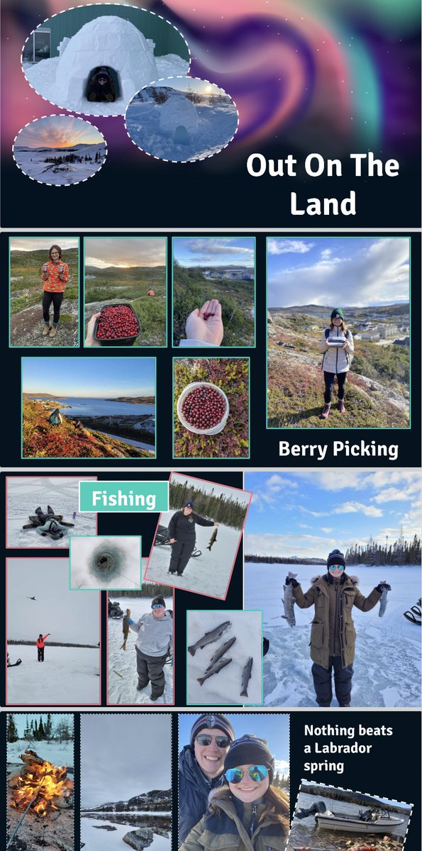 Sophia Hewitt tweet media