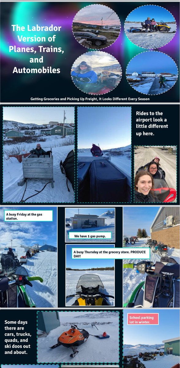 Sophia Hewitt tweet media