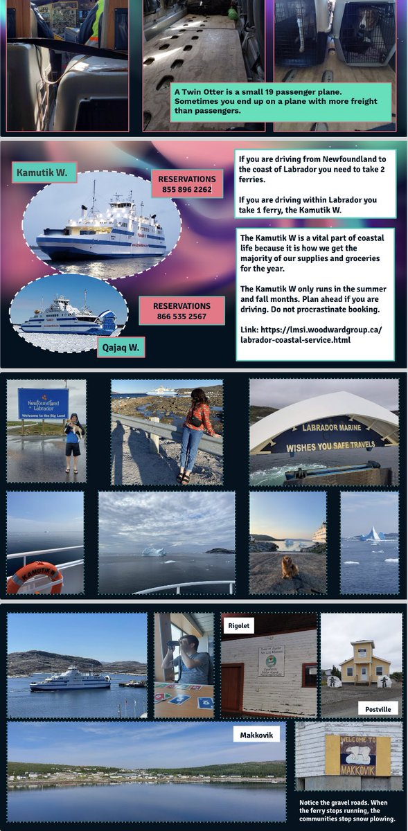 Sophia Hewitt tweet media