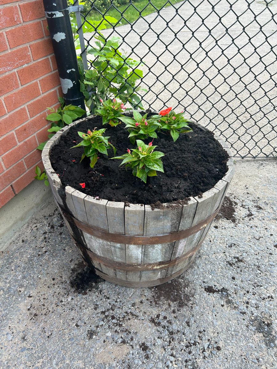 GardenwaySAP's tweet photo. Flowers planted in the KG yard. https://t.co/VqLC2eekEt