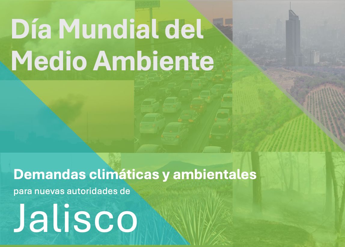 ElEspacioComun's tweet photo. Organizaciones e investigadores presentamos una serie de demandas para las autoridades electas en #Jalisco en el marco del #DíaDelMedioAmbiente. La agenda climática no debe ser ignorada o simulada una vez más @PabloLemusN @ClaudDelgadillo https://t.co/cf2VgC9UyX https://t.co/MWv26bckqW