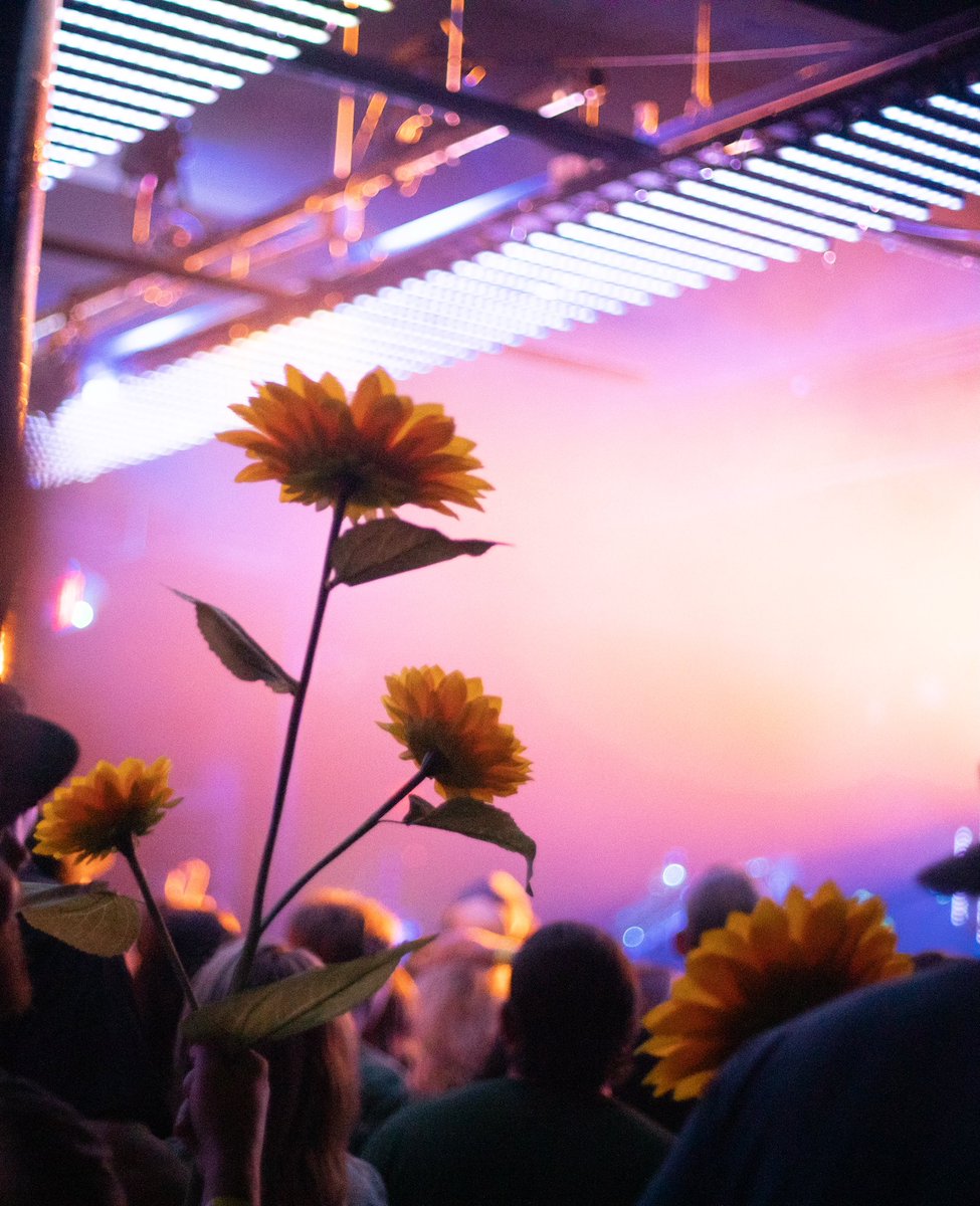 joehertler's tweet photo. We’re movin’ and groovin’ in a city near you this summer! 

Looking forward to seeing all your faces out there 🌻

🌈 Tix at https://t.co/y9yOHf3JM4 let’s party🌈 

📸: @CiaraGlagola https://t.co/hrnU7sMalo