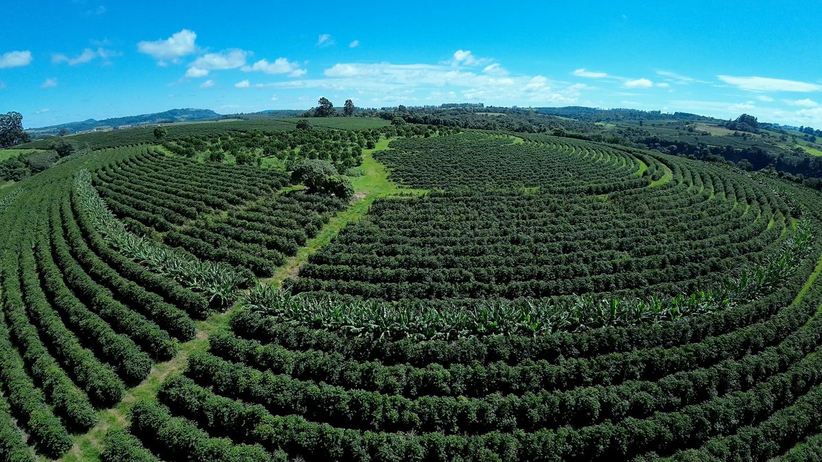 AgronetMADR's tweet photo. "En #Agronet y @UPRAColombia trabajamos cada día por un campo más sostenible y equitativo. En este #DíaMundialDelMedioAmbiente, recordemos la importancia de cuidar y proteger nuestro entorno para las generaciones futuras. ¡Juntos podemos hacer la diferencia! 🌿🌎 #MedioAmbiente