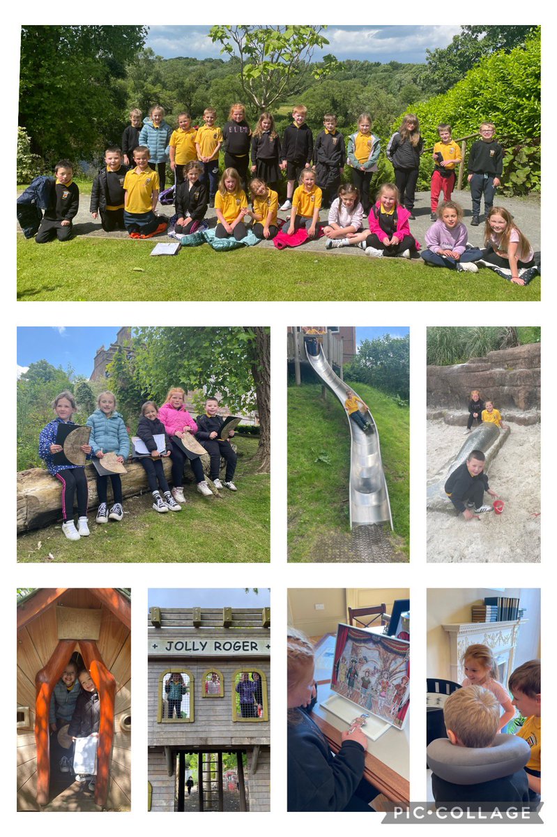 Primary 3a - CDPS tweet media