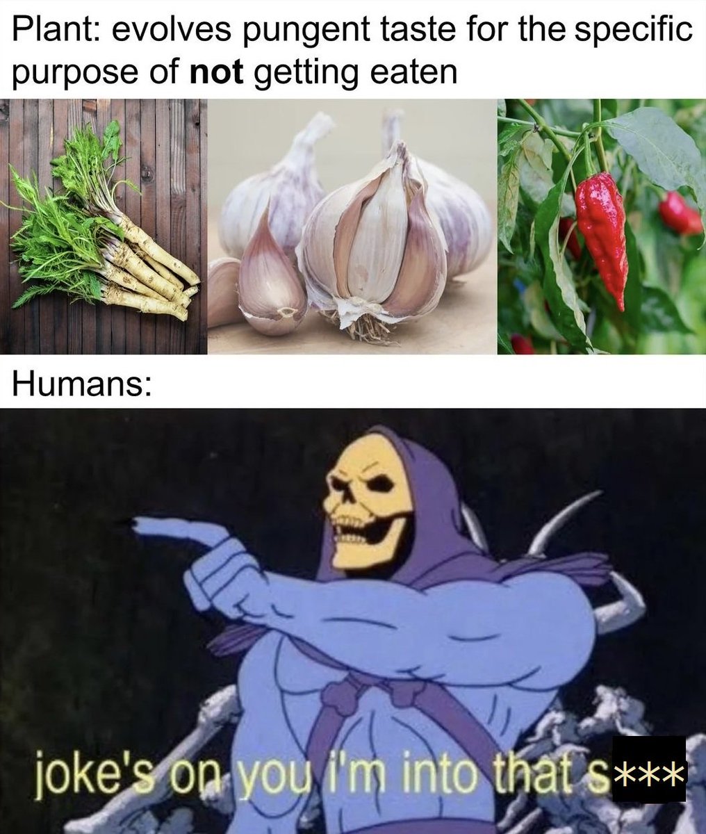 Spill The Memes (@spillthememes) on Twitter photo 