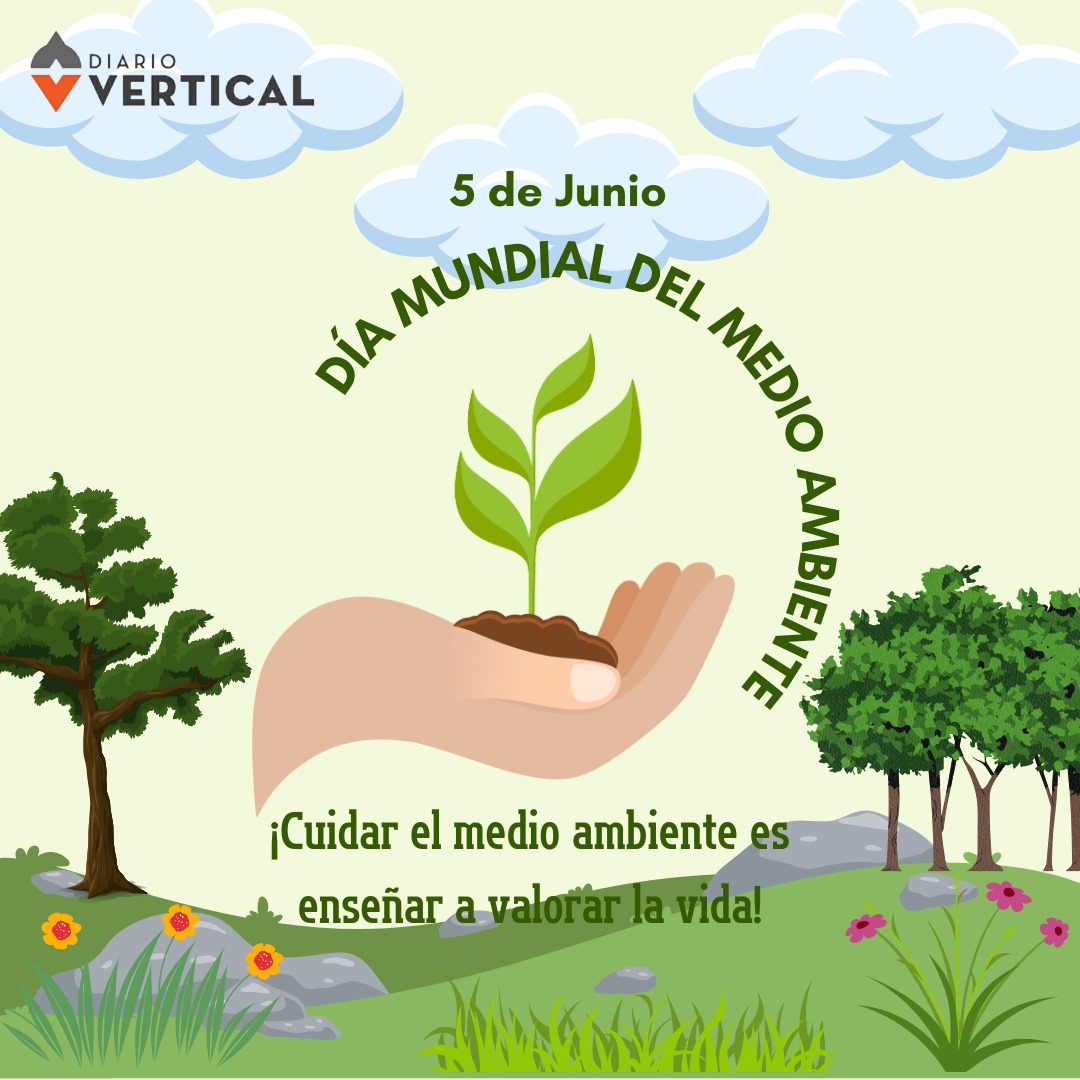 DiarioVertical's tweet photo. "Cuidar el planeta y el #MedioAmbiente es una responsabilidad compartida".

¡Todos podemos hacer la diferencia!

#DiaMundialDelMedioAmbiente #5Junio #diadelmedioambiente #cuidemoselambiente #cuidemoslanaturaleza #cuidemoselplanetatierra https://t.co/hDL2stjizW