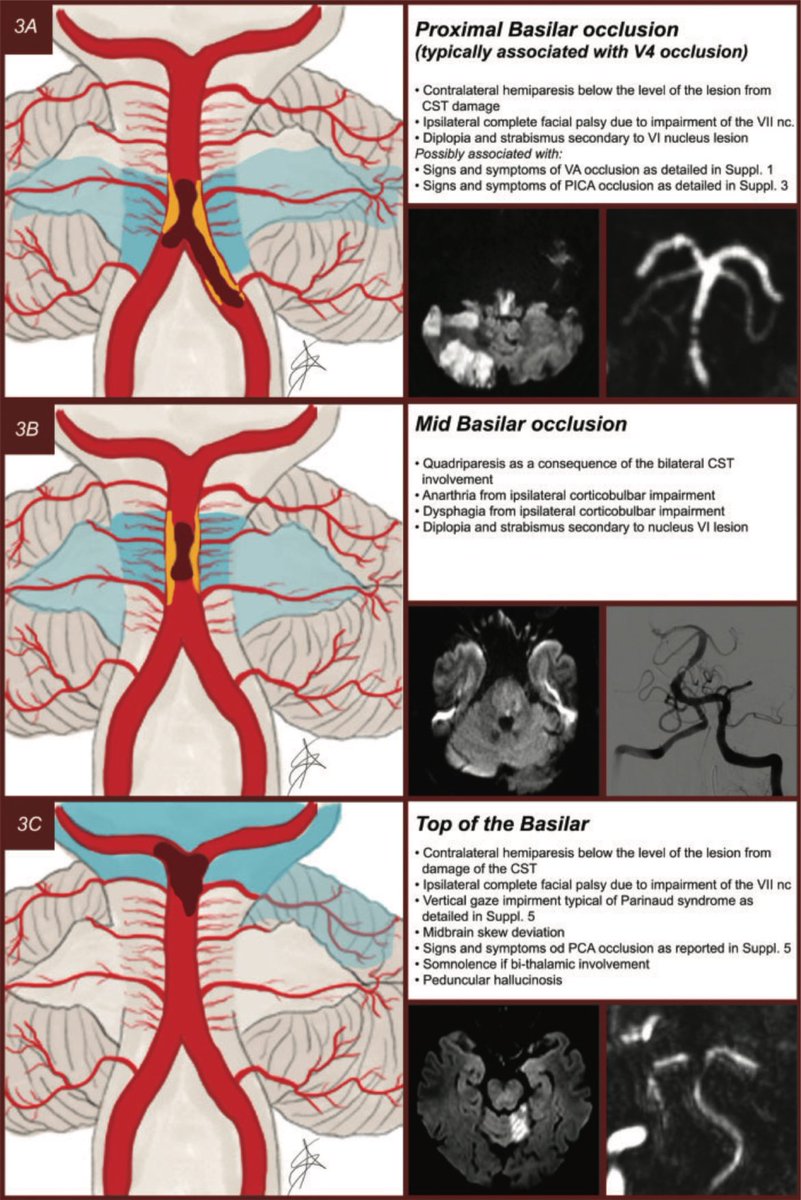 Medicina Interna | CMNO tweet media