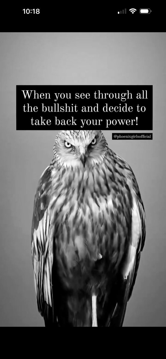 Erica Arfsten tweet media