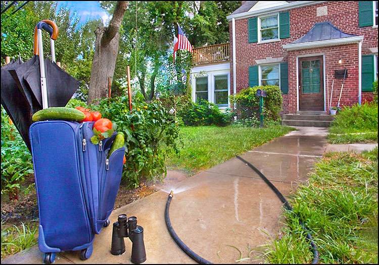 michaelenfield1's tweet photo. Sweet, Suite Garden Retreat, Washington, D.C. https://t.co/9r1D3bDvp3 https://t.co/hMLgwqo7Kz