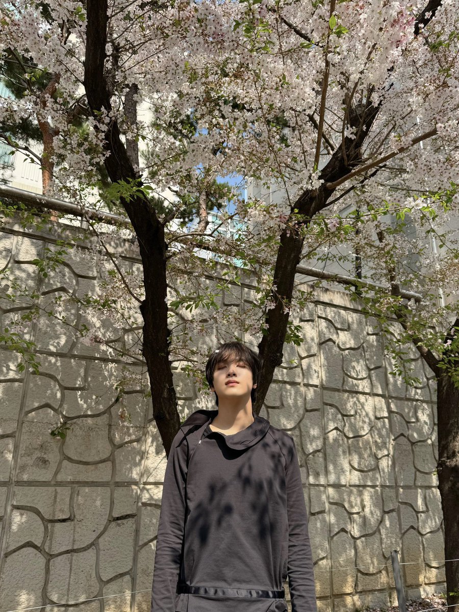 happiest birthday to you, my love!!! please enjoy your day, ik things aren’t good rn but please i hope you’re okay. we love you, our superstar! 🐻

#해차니_생일_와떠여
#SonOfMusicHaechanDay
#HAPPYHAECHANDAY