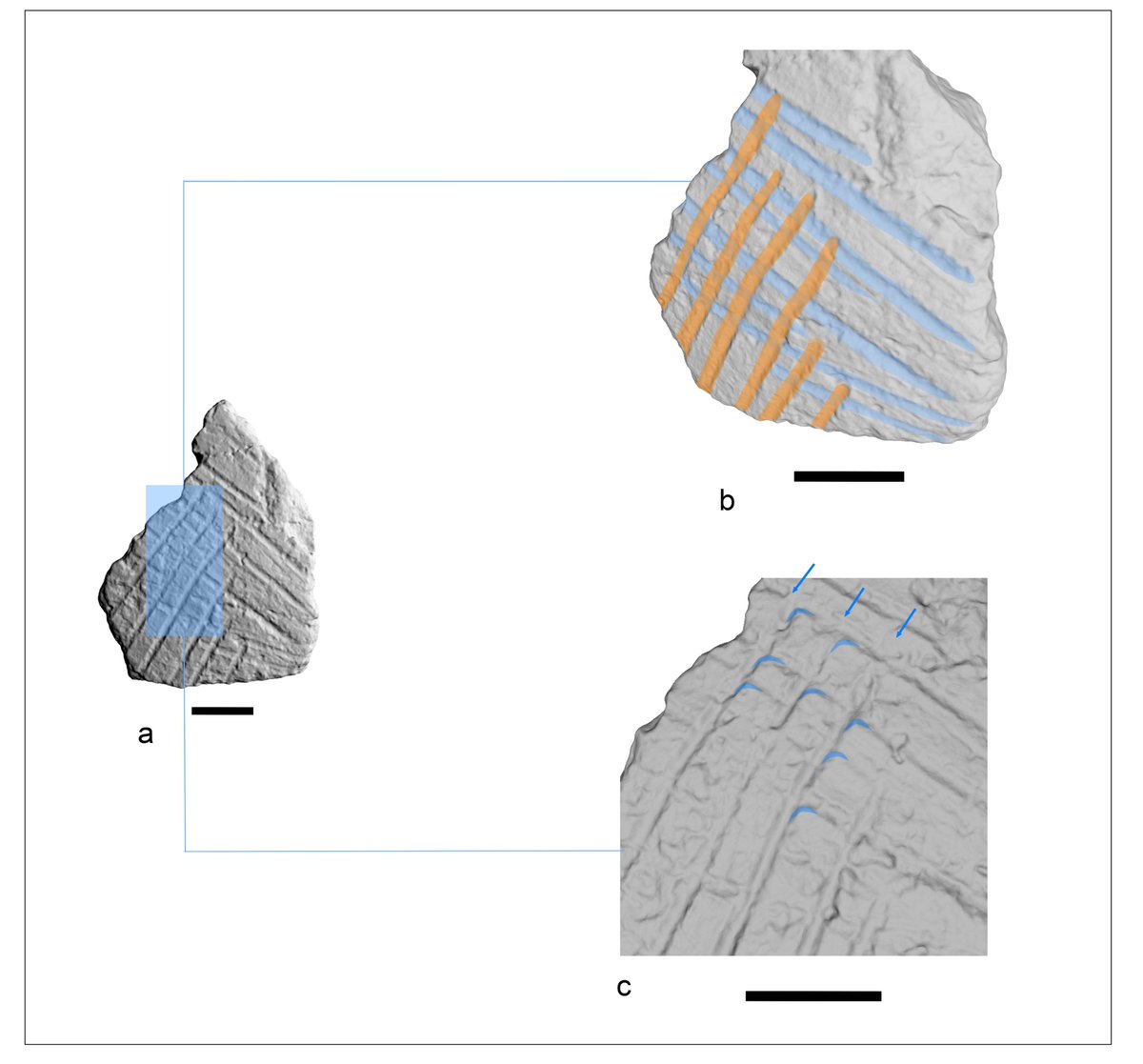 Visual Computing Lab ISTI-CNR (@visualcnr) on Twitter photo New paper, open access! "3D imaging application to the study of the early Neolithic ceramic complex: the decorated pottery of Rio Tana (Abruzzi, Italy)" has just been published with <a href="/SpringerNature/">Springer Nature</a> in EPJ Plus!
Read it👇
rdcu.be/dJZWc
@IstiCnr <a href="/CNRsocial_/">CNR Consiglio Nazionale delle Ricerche</a> <a href="/EPJscience/">The EPJ journals</a> New paper, open access! "3D imaging application to the study of the early Neolithic ceramic complex: the decorated pottery of Rio Tana (Abruzzi, Italy)" has just been published with <a href="/SpringerNature/">Springer Nature</a> in EPJ Plus!
Read it👇
rdcu.be/dJZWc
@IstiCnr <a href="/CNRsocial_/">CNR Consiglio Nazionale delle Ricerche</a> <a href="/EPJscience/">The EPJ journals</a>
