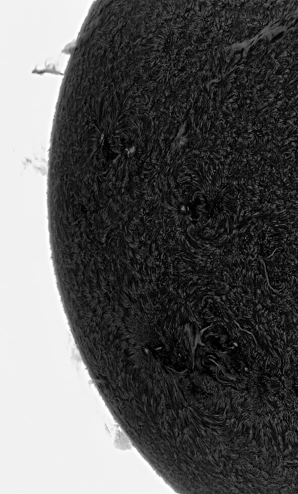 MohdAlMaazmi1's tweet photo. تفاصيل سطح الشمس ☀️🔭
#sun https://t.co/ImeUAtSdlQ
