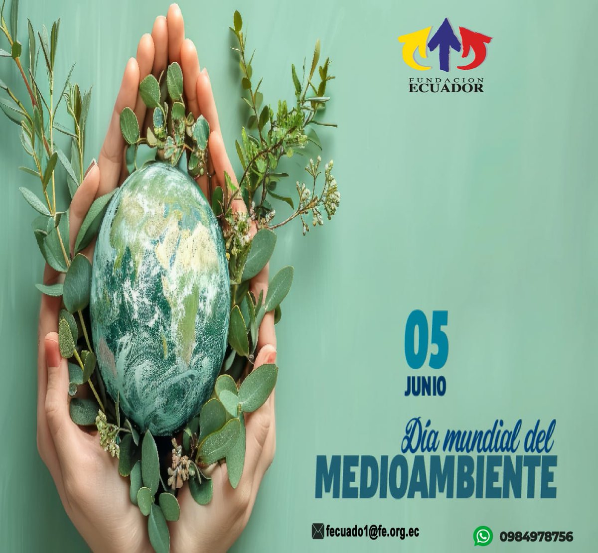 fecuador's tweet photo. Hoy 5 de junio te invitamos a conocer más sobre el medio ambiente y la importancia de su cuidado para las presentes y futuras generaciones.

Quieres conocer un poco más, visita el siguiente link:
 https://t.co/rw2H9VXz7N https://t.co/wahu03shr6