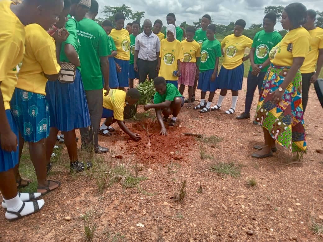 Rights & Advocacy Initiatives Network tweet media