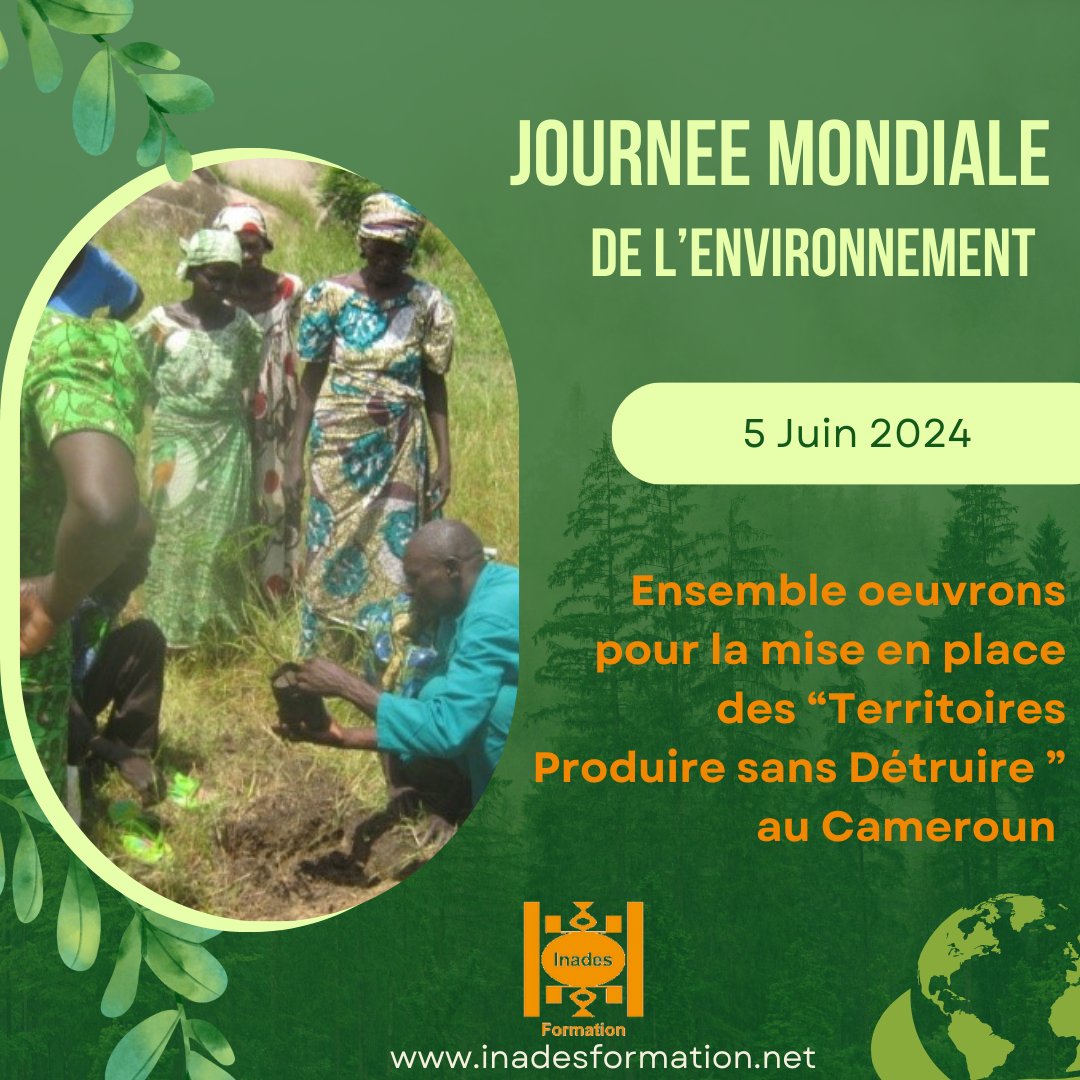 Inades-Formation Cameroun (@inadescameroun) on Twitter photo 
