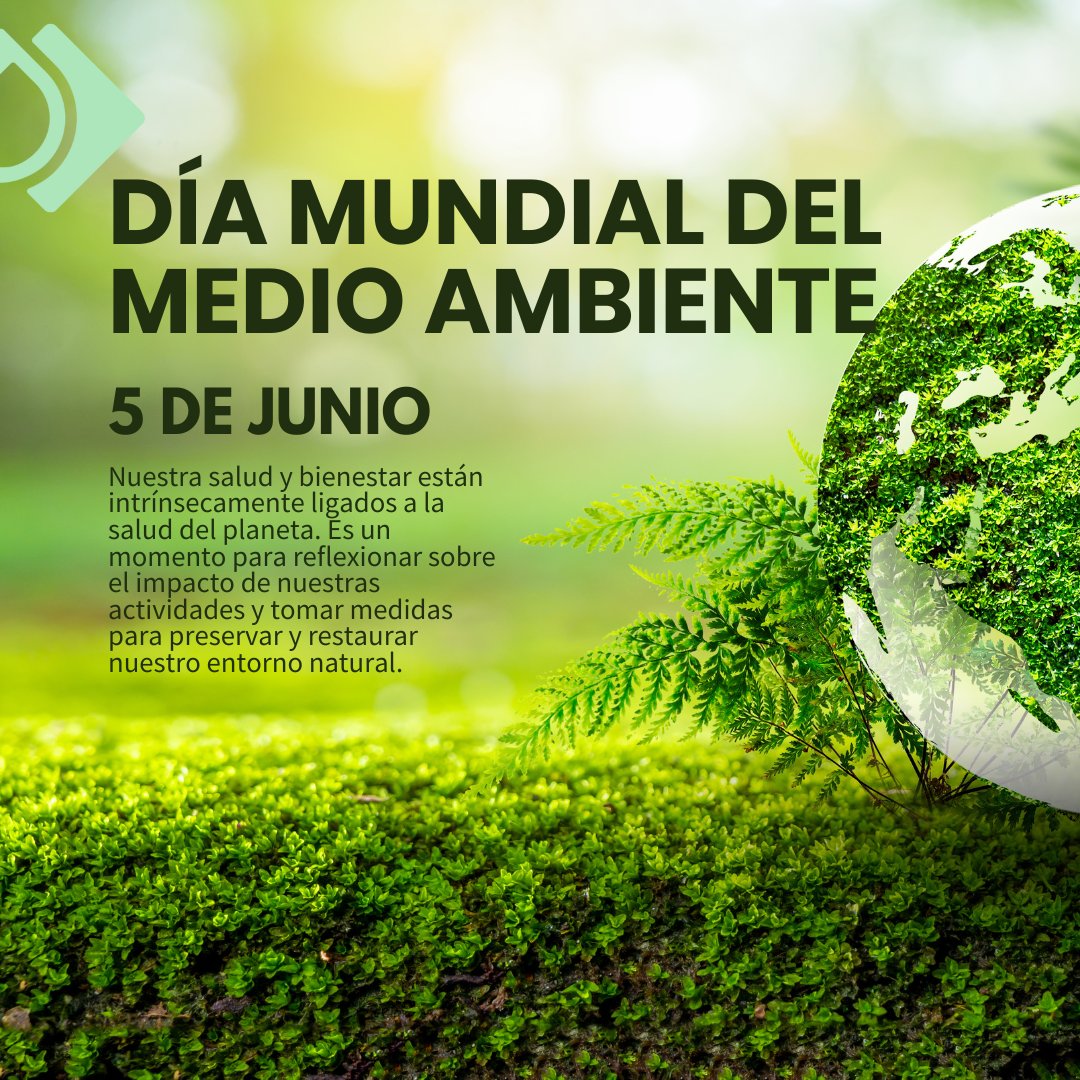 Perinox_'s tweet photo. 🌍🌱 #DíaMundialDelAmbiente, celebramos la importancia de cuidar nuestro planeta. ¡Es hora de restaurar nuestras tierras! Adoptemos prácticas sostenibles: agricultura regenerativa, reforestación, gestión del agua, reducción de residuos y educación ambiental. #Ambiente2024 💚 https://t.co/G1wtBCJJVM