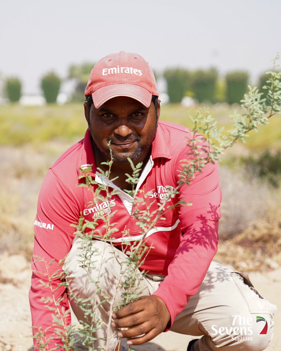 The Sevens Stadium tweet media