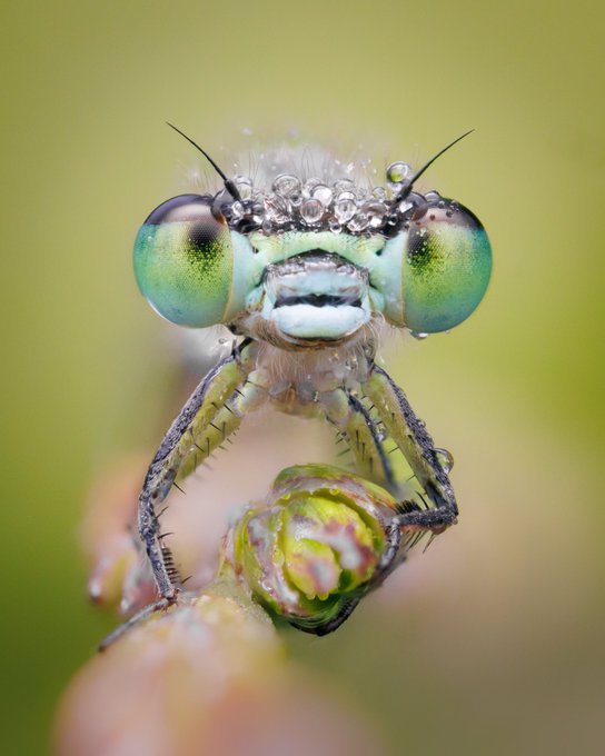 Fotospeed tweet media