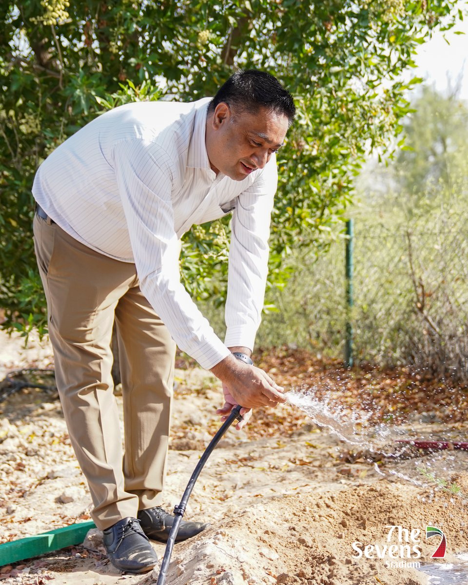 To mark World Environment Day, the team at Stadium were busy this morning helping to plant 100 Ghaf trees at the entrance to the grounds 🍃  
This initiative is part of our mission to help maintain the local biodiversity &amp; support the delicate desert ecosystem. 
#thesevensstadium