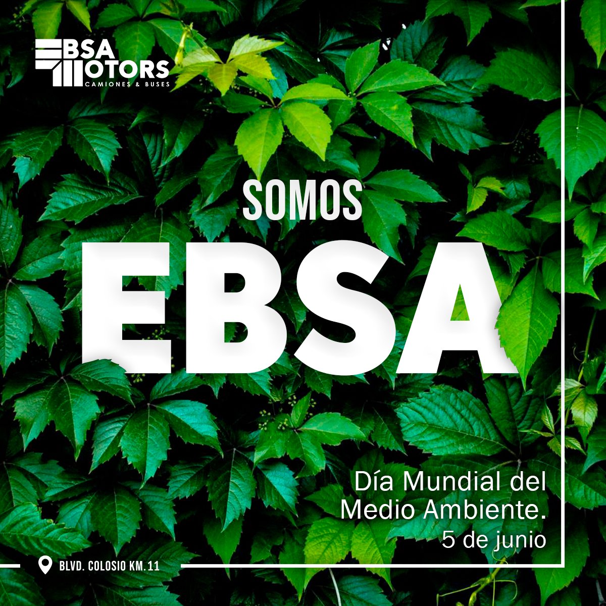 En este Día Mundial del Medio Ambiente, hagamos un compromiso por un futuro más sostenible. Elige EBSA Motors y conduce hacia un planeta más verde. 🌍🌳💚

#DiaMundialDelMedioAmbiente #SomosEBSA #futuroverde