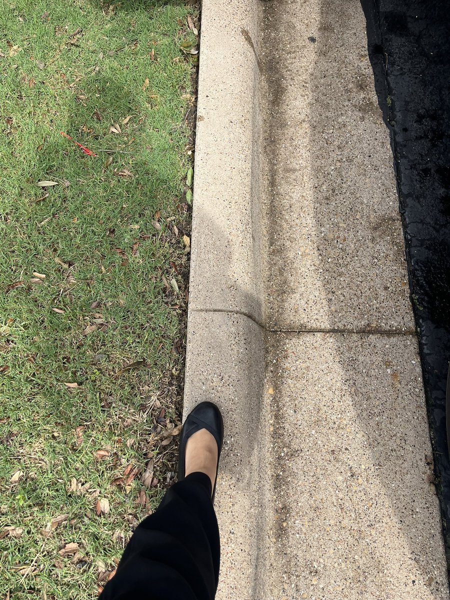 Brandee Morris tweet media