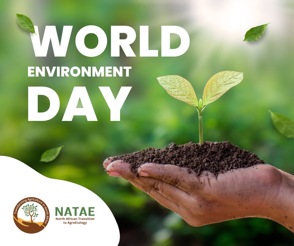 natae_HE's tweet photo. 🌍✨ Happy World Environment Day! Let us raise awareness and take action for the protection of our environment. Emphasizing the importance of reviving our ecosystems is essential for a healthy planet and sustainable future. 🌱♻️💧 #NATAE #agroecology #MEDAE #WorldEnvironmentDay https://t.co/2H5SEjNT40
