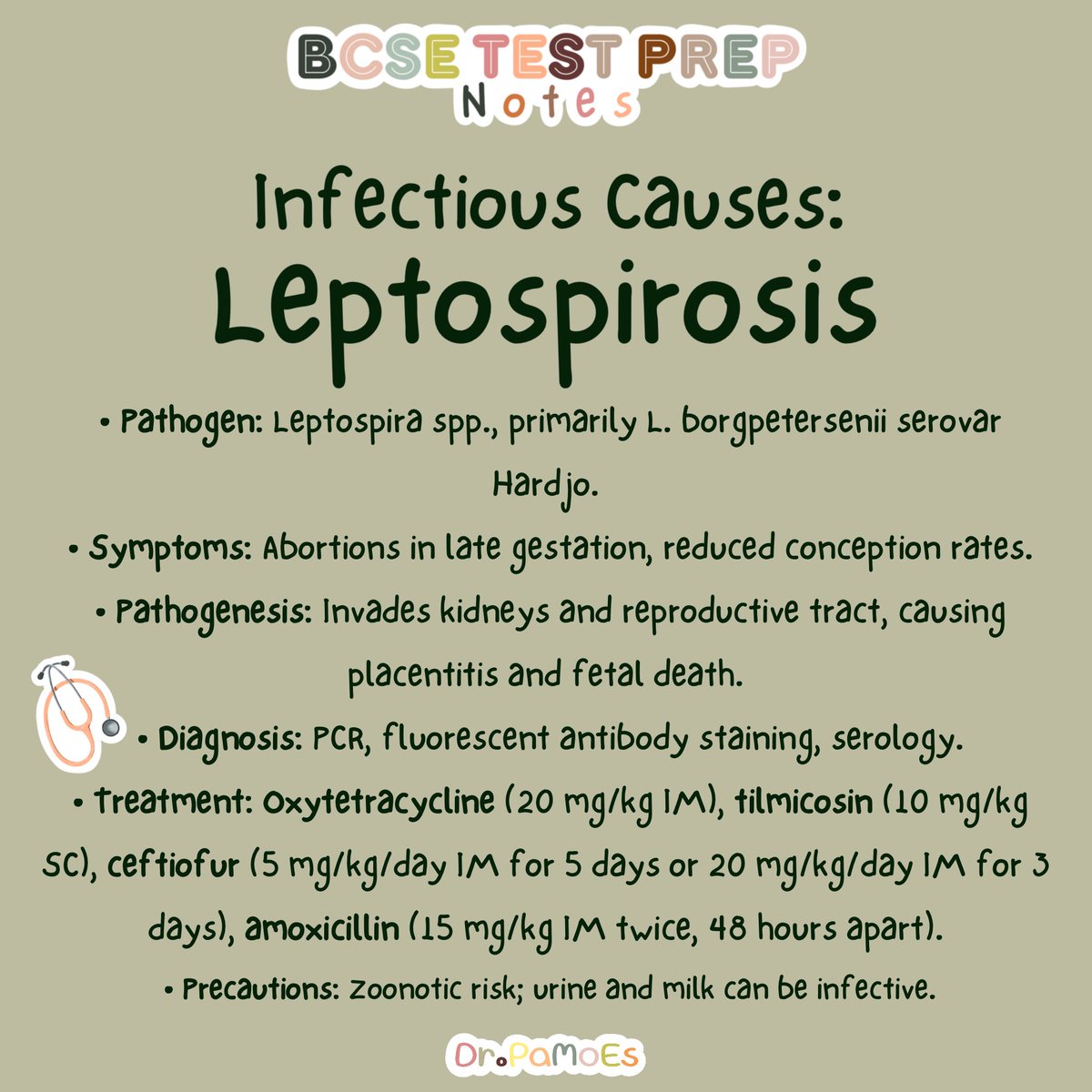 PaMoEs's tweet photo. Preparing for BCSE Test? ABORTION IN CATTLE 🐄 involves infectious (BVD, Brucellosis, Leptospirosis, IBR), and noninfectious causes (heat stress, toxins, and nutritional deficiencies). Diagnosis: sampling placenta, culture, PCR, serology, and histopathology🩺
#VetMedBCSETest https://t.co/3KdMy6zBlP