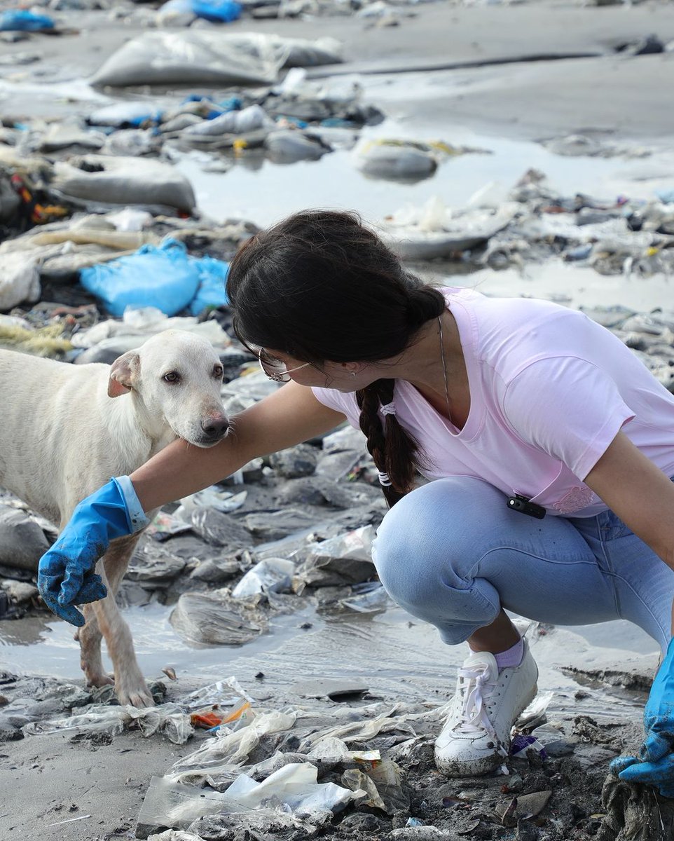 Asli_Jacqueline's tweet photo. Happy world environment day with these superheroes at @beachpleaseIND to help clean up our beautiful beaches! 🌏❤️ (they are here every Saturday at the Mithi River without fail)

Every piece of litter we picked up, was a step towards a cleaner, healthier and safer environment! Thank you @KalambeMalhar for educating me on the many ways I can be more environmentally conscious and supportive of our beautiful planet 💚💚

I’d love to know how you’ll celebrated #WorldEnvironmentDay today?