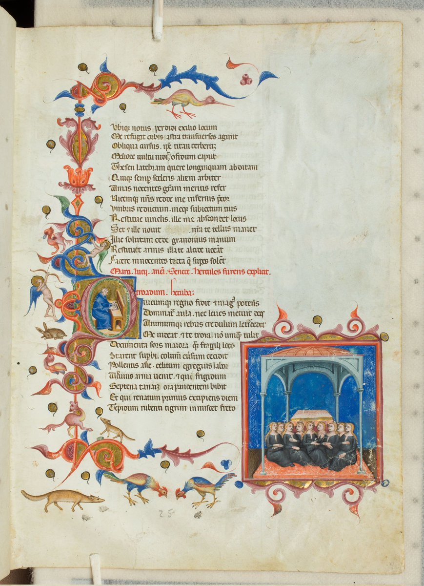 bcm_girolamini's tweet photo. Per #BiodiversitàMW e #animalifantasticiedovetrovarli vi proponiamo una pagina del codice #miniato delle Tragedie di #Seneca dei #Girolamini con un fregio popolato da uccelli vari, una cicogna, una lepre, un draghetto, un roditore e due galli ☺️
#MuseumWeek2024 @MuseumWeek https://t.co/px9McBNgbI