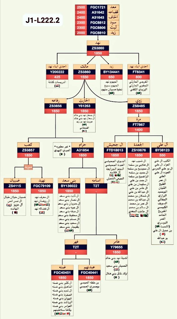 <a href="/3mk_lufy/">الفتَّاك لغيبر 💯</a> @a811v حديثنا عن الجينات
قبائل #نهد_حضرموت جينيا منـ #ZS3860 وهمـ↓
—بنو روضان وبنو معرف وآل حريز من بني ظبيان نهد علـ #ZS3857 
—الجعدة وآل شبيب من بني مرة نهد علـ #ZS10767 
—بني سعد من بنو حرام نهد علـ #BY136022 
—آل كثير الجوابر العوامر وآل تميم والمناهيل من بني ضنة نهد علـ #FGC40451
