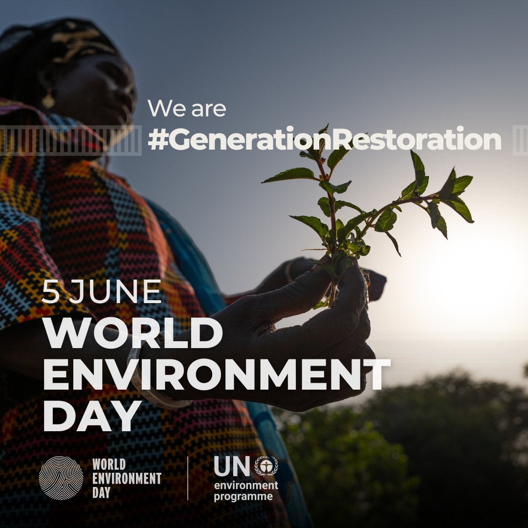 ENSA_research's tweet photo. More fertiliser use can have unintended environmental consequences. Giving non-legume crops #NitrogenFixing capabilities offers a sustainable way to enrich soils and restore the planet for future generations.
👉https://t.co/w9UZavAKjm
#EnvironmentDay @UNEP #GenerationRestoration https://t.co/ITpW4FZFiL