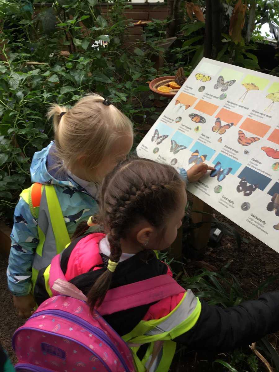 Crawley Green Infant School (@cginfantschool) on Twitter photo 