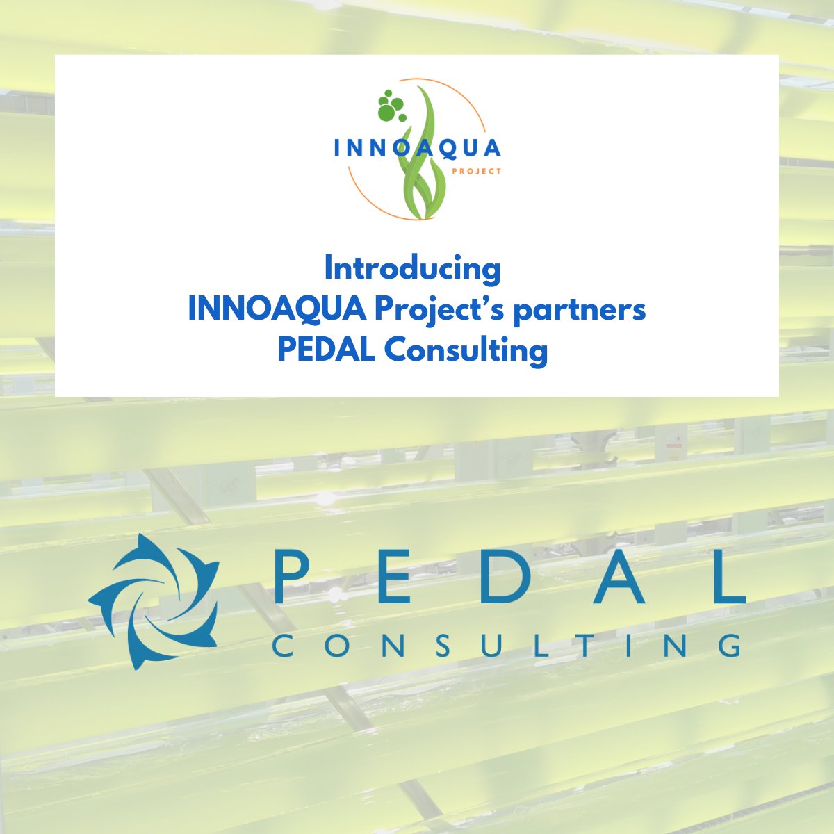 Innoaqua Project tweet media