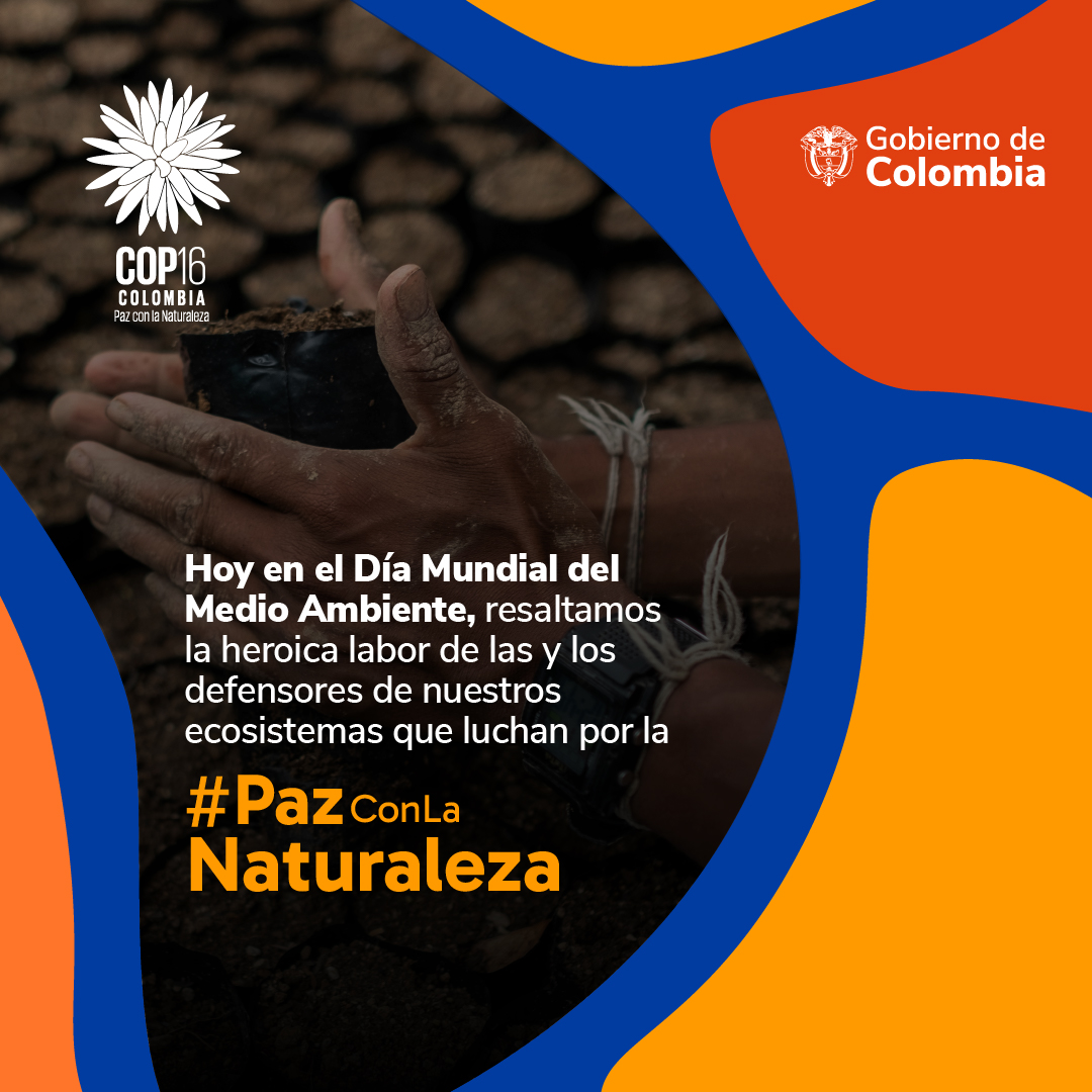 TSPazcifico's tweet photo. Las lideresas y líderes ambientales cumplen un rol fundamental en cada uno de los territorios para preservar nuestros ecosistemas, arriesgando hasta su propia vida. Ellos son unos de los principales constructores de la #PazConLaNaturaleza. https://t.co/FBlkh2qDNt