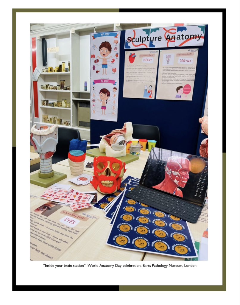 OlgaAvilova's tweet image. Thrilled to see our World Anatomy Day celebration featured in the latest edition of the Plexus newsletter!🌍🔬 

A heartfelt thank you to everyone for valuing our work and dedication. Missing the wonderful days in London and my amazing team ❤️

#Plexus #WorldAnatomyDay #IFAA