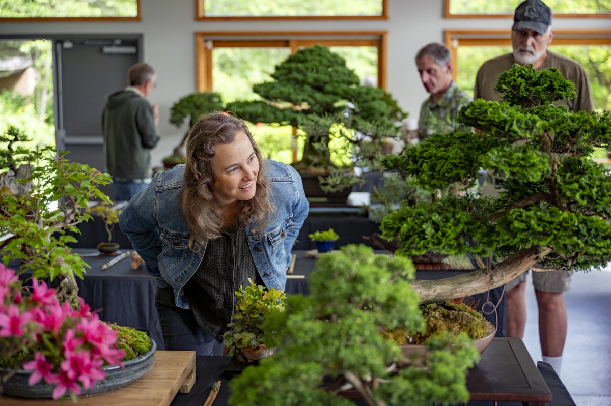 A beautiful day of bonsai in our Japanese Friendship Garden! 😍 #GoToGtown #TravelKY