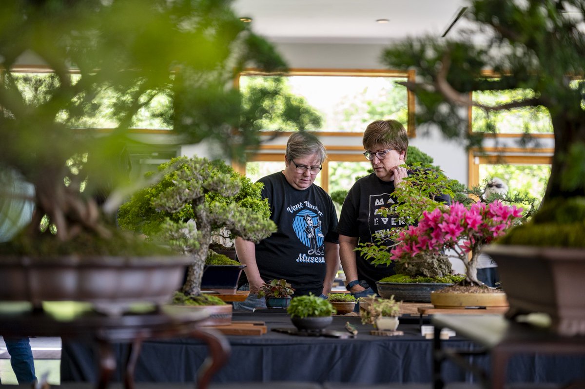 GotoGtown's tweet image. A beautiful day of bonsai in our Japanese Friendship Garden! 😍 #GoToGtown #TravelKY