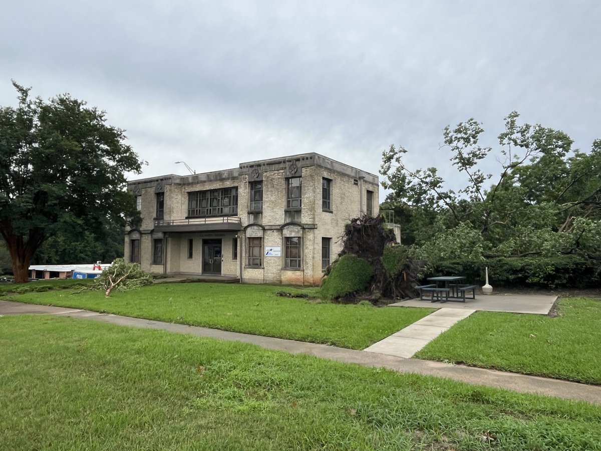 TxDOTTyler's tweet image. The District HQ was not spared by the recent storms. Some very large trees toppled, luckily, no one was injured. Check out how large the tree is near the historic Gentry Building which houses our construction office. #StormCleanup