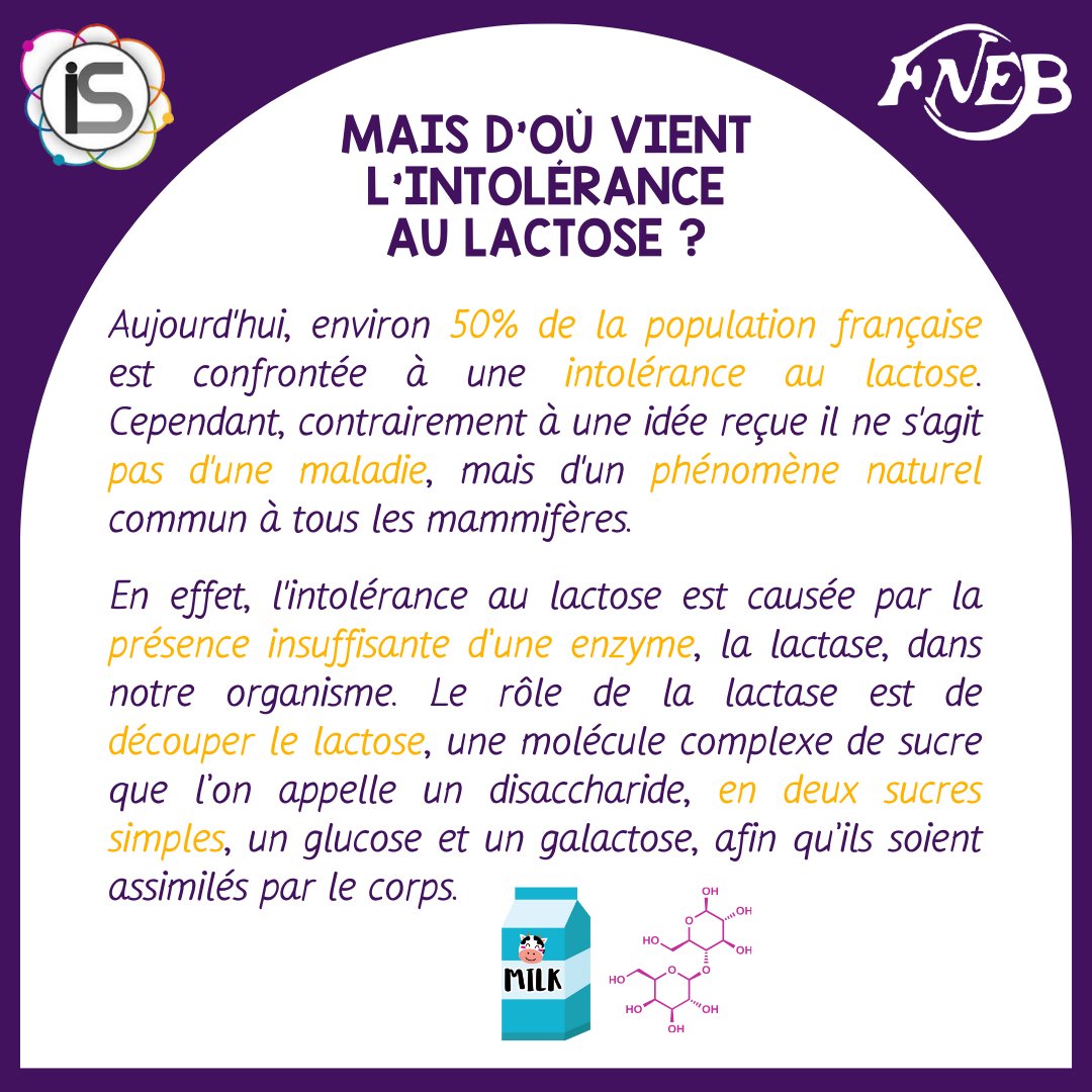 FNEBmono's tweet photo. [👨‍🔬 SCIENCES – L’INFO SCIENCE 🥛]

Découvre ce phénomène commun à tous les mammifères : l’intolérance au lactose, dans l’Info Science du jour ! 🧀
Bonne lecture 📖

Article rédigé par Margot Rambert.
#fnebmono #sciences #indésciences #funfact #infoscience #lactose #intolérance https://t.co/0ddVqhoLjs
