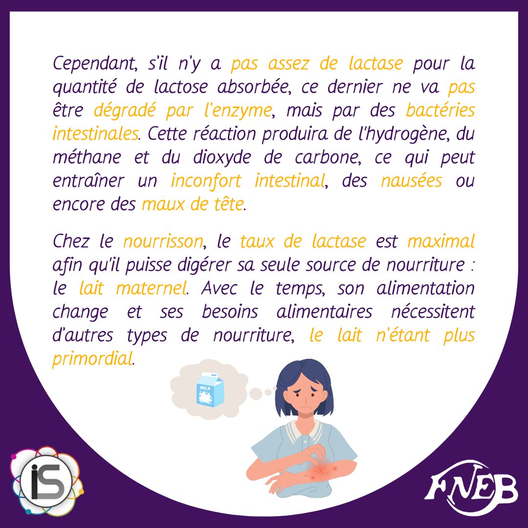FNEBmono's tweet photo. [👨‍🔬 SCIENCES – L’INFO SCIENCE 🥛]

Découvre ce phénomène commun à tous les mammifères : l’intolérance au lactose, dans l’Info Science du jour ! 🧀
Bonne lecture 📖

Article rédigé par Margot Rambert.
#fnebmono #sciences #indésciences #funfact #infoscience #lactose #intolérance https://t.co/0ddVqhoLjs