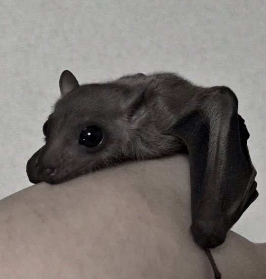 ٰ (@uhicr) on Twitter photo 