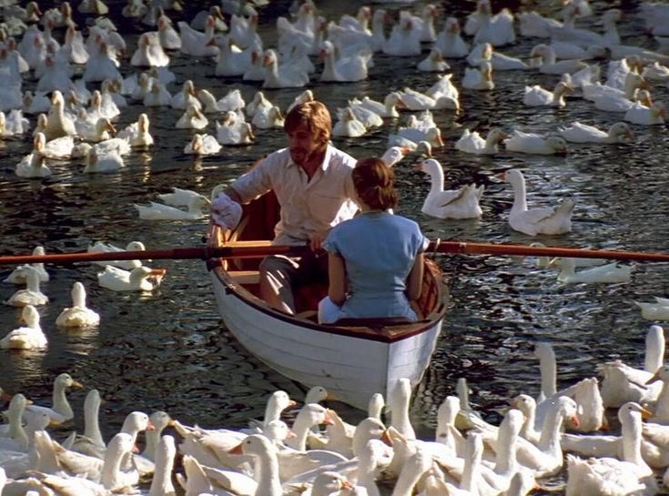 Someofme_'s tweet photo. This scene 🤍
The notebook (2004) dir. Nick Cassavetes https://t.co/jCbSoQ1kb9
